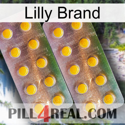 Lilly Brand new10